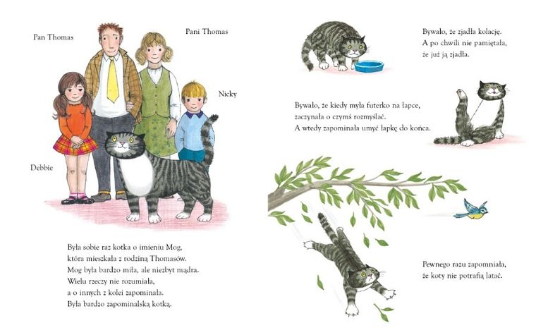 Zapominalska kotka Mog