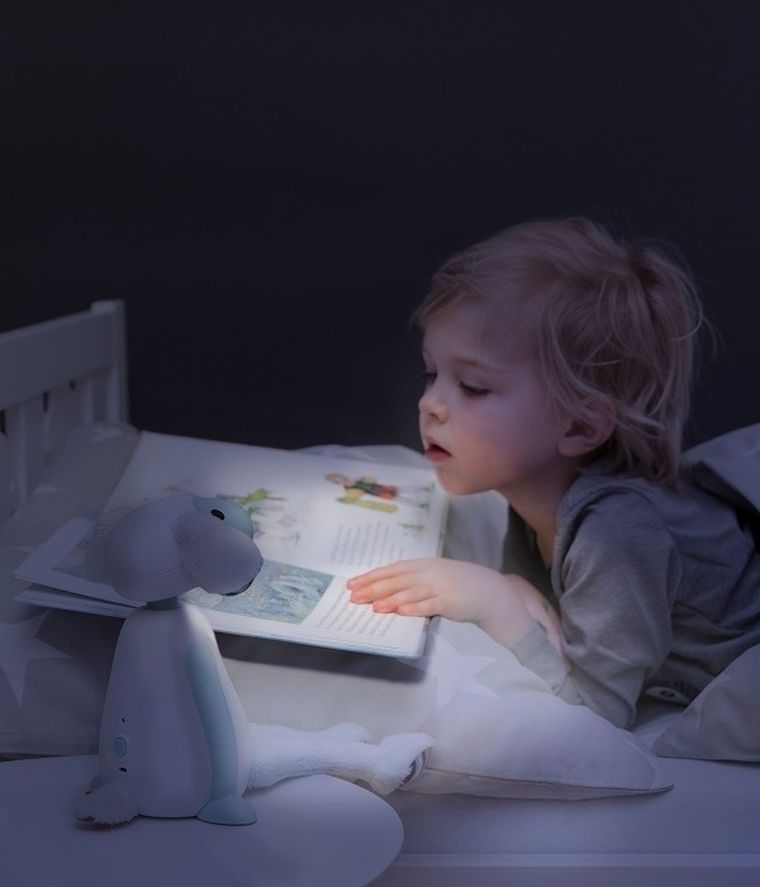 Zazu, Fin, Owca, lampka do czytania, Grey