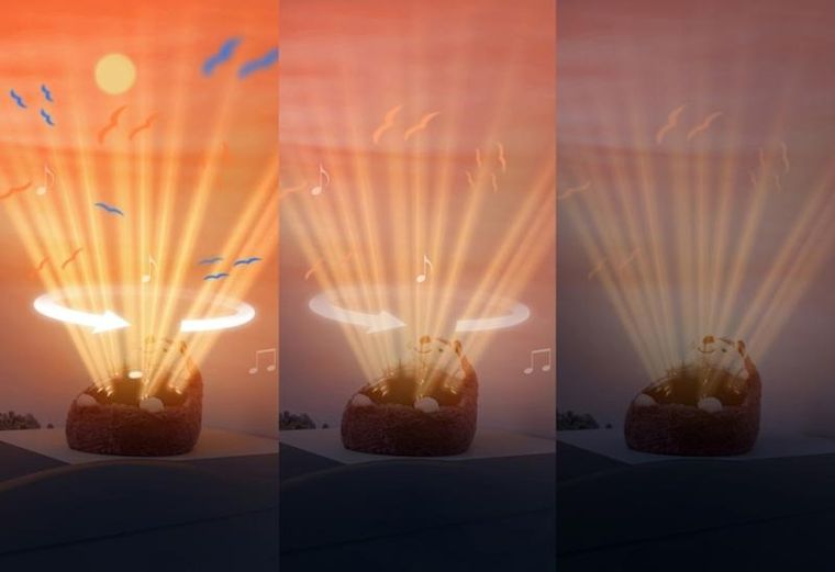 Zazu, Henry, projektor zachodzącego słońca, jeż