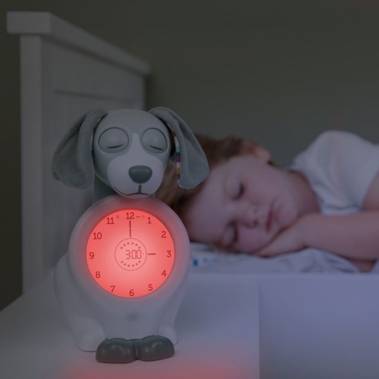 Zazu, Pies Davy, budzik i trener snu, green