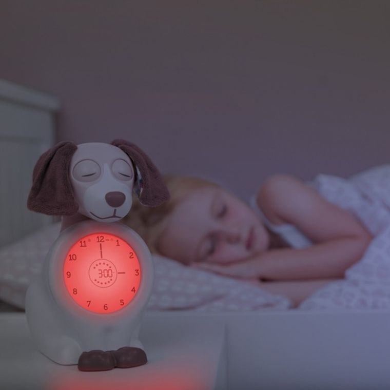 Zazu, Pies Davy, budzik i trener snu, pink