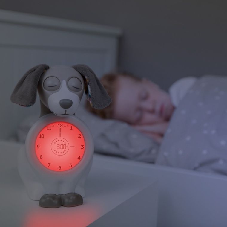 Zazu, Pies Davy, budzik i trener snu, taupe