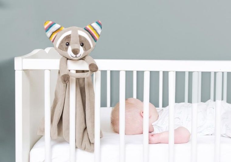 Zazu, Szop Robin, szumiąca maskotka