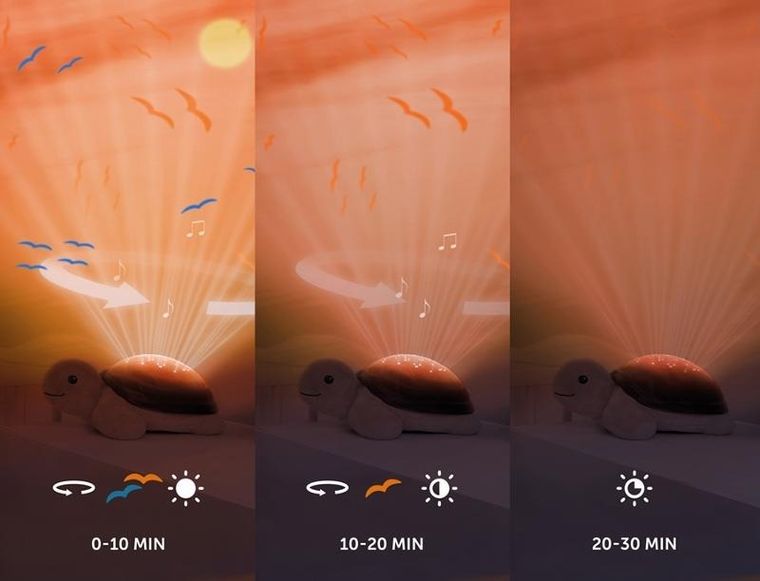 Zazu, Tim, projektor zachodzącego słońca, żółw