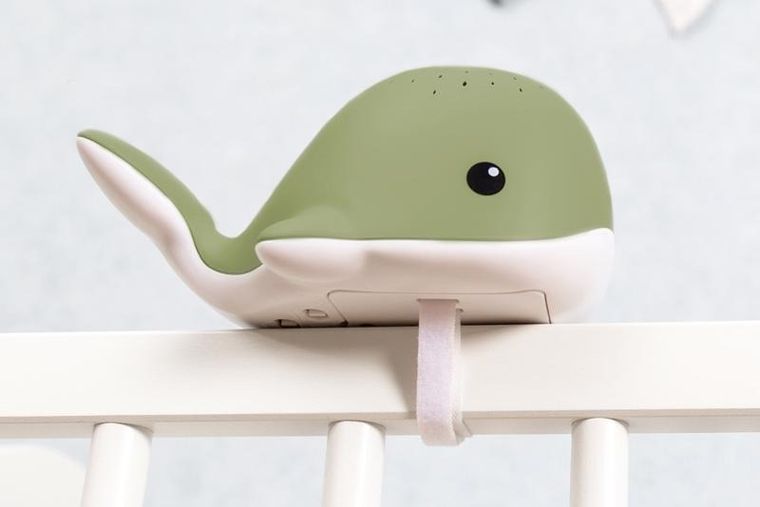 Zazu, Wally, projektor wieloryb, Green