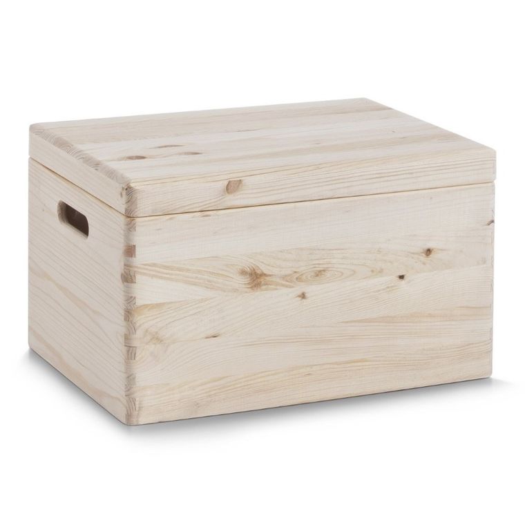 Zeller, pojemnik do przechowywania z pokrywą, 30l