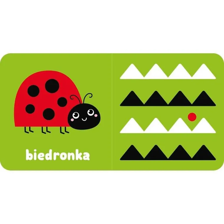 Zobacz, maluszku! Książeczka kontrastowa z kotkiem