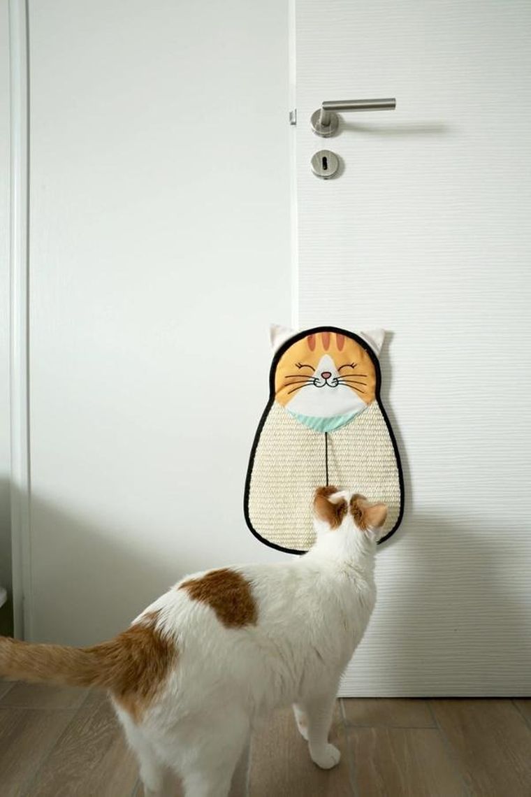 Zolux, Chatouille, drapka dla kota do powieszenia, kot sizal z zabawką, 54 cm