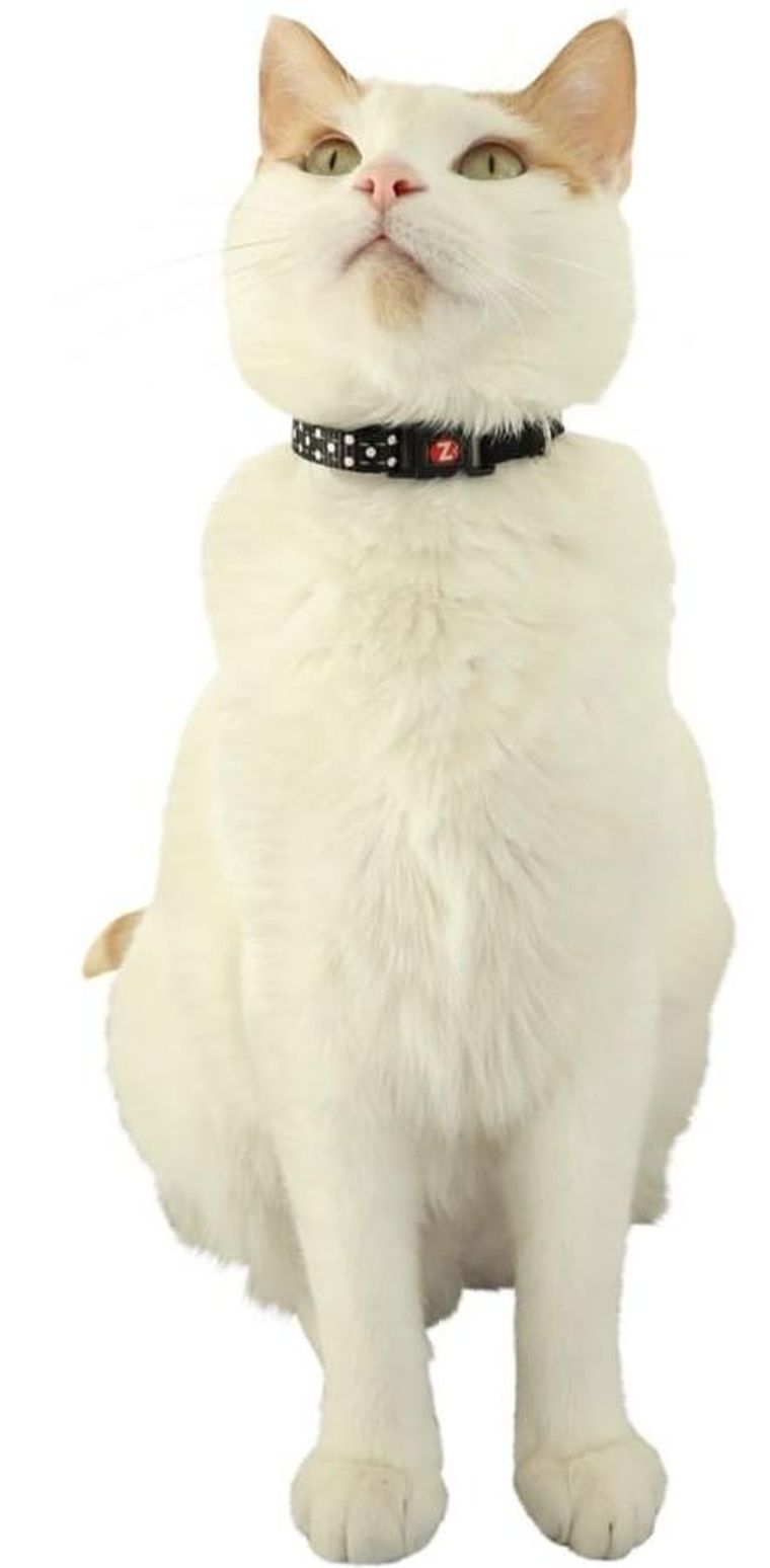 Zolux, Chatouille, obroża dla kota z zawieszką w kształcie myszy, czarna