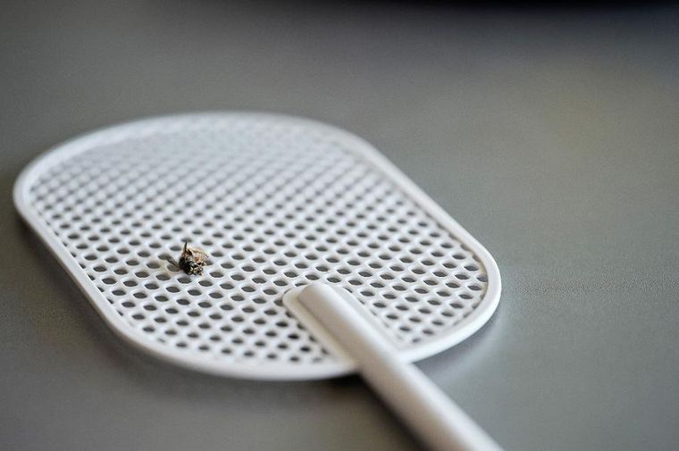 Zone Denmark, Singles, łapka na muchy, Black