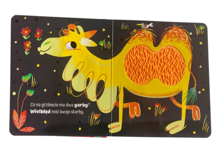 Zoo. Dotykam poznaję