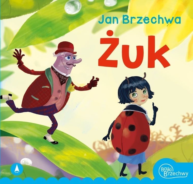 Żuk