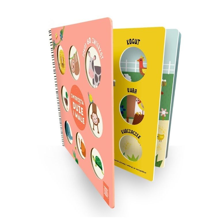 Zwierzęta duże i małe. Odwróć i poznaj