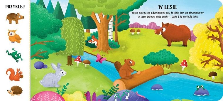 Zwierzęta. Książeczka z magnesami