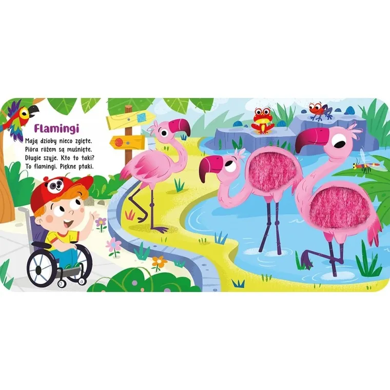 Zwierzęta w zoo. Dotknij i poczuj