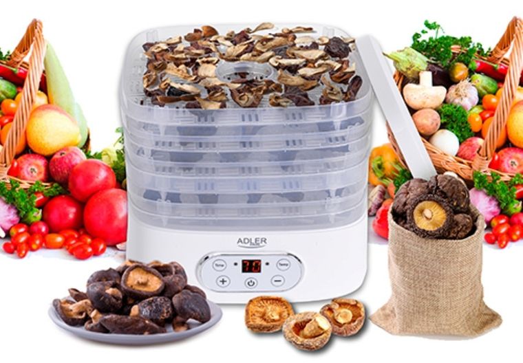 Adler, suszarka do owoców i warzyw, AD6658