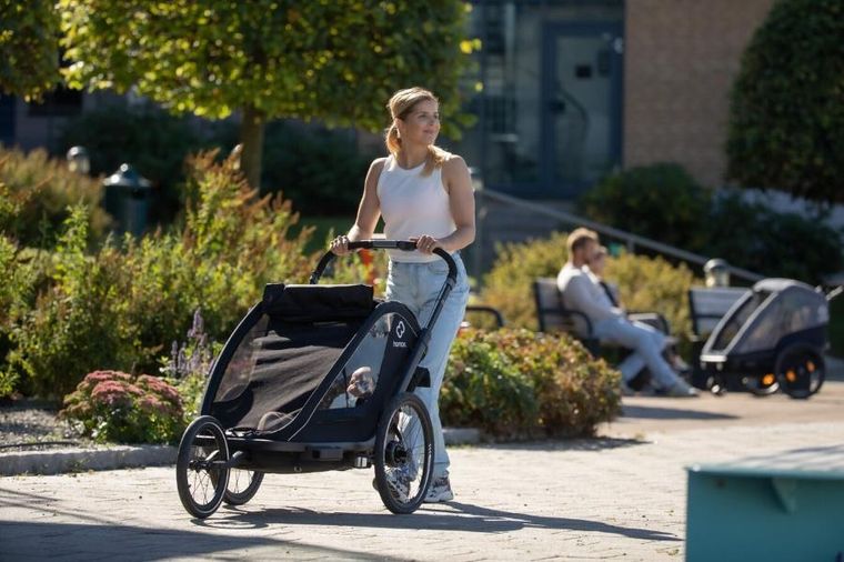 Hamax, Breeze One, przyczepka rowerowa, Black