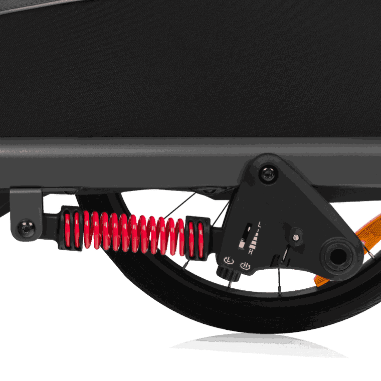 Lionelo, Cama, przyczepka rowerowa, Grey Graphite