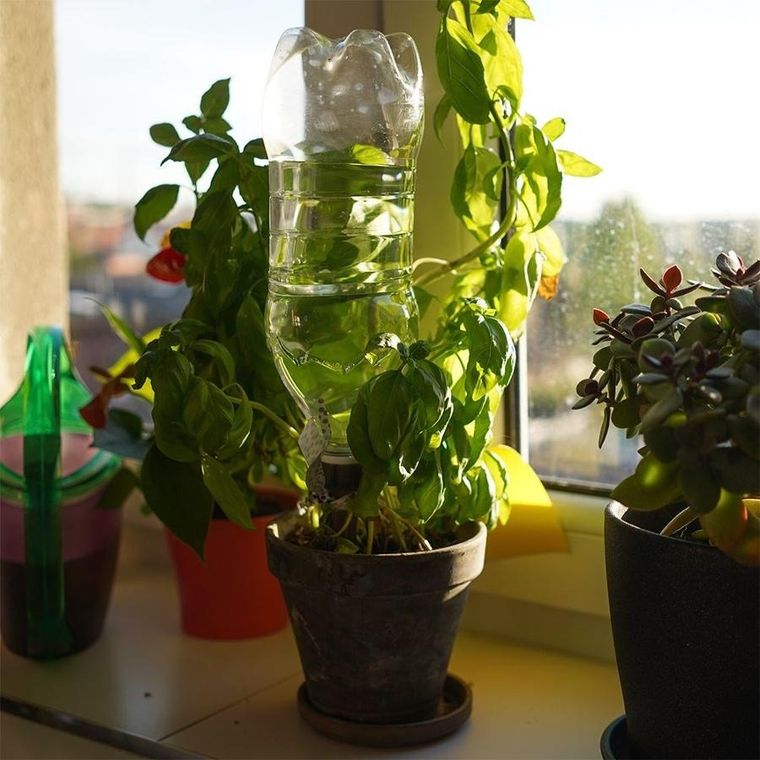 ProGarden, nawadniacz do roślin, na butelkę, 4 szt.