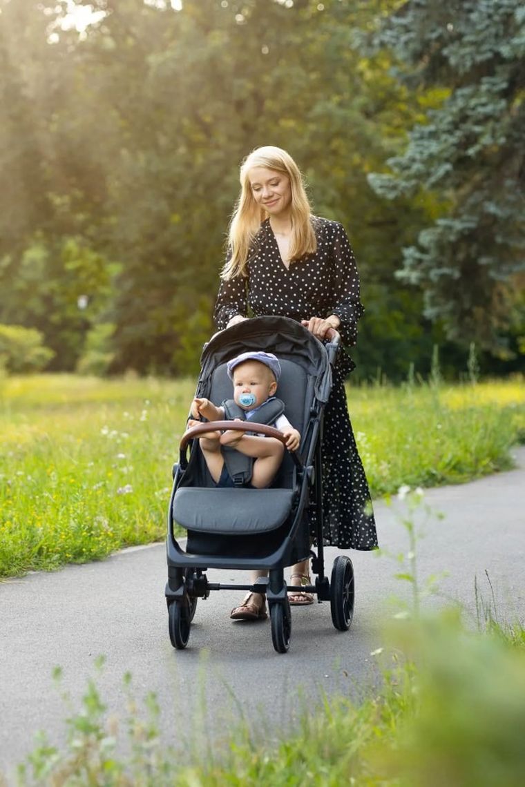 Caretero, Elma, wózek spacerowy, Dark Grey