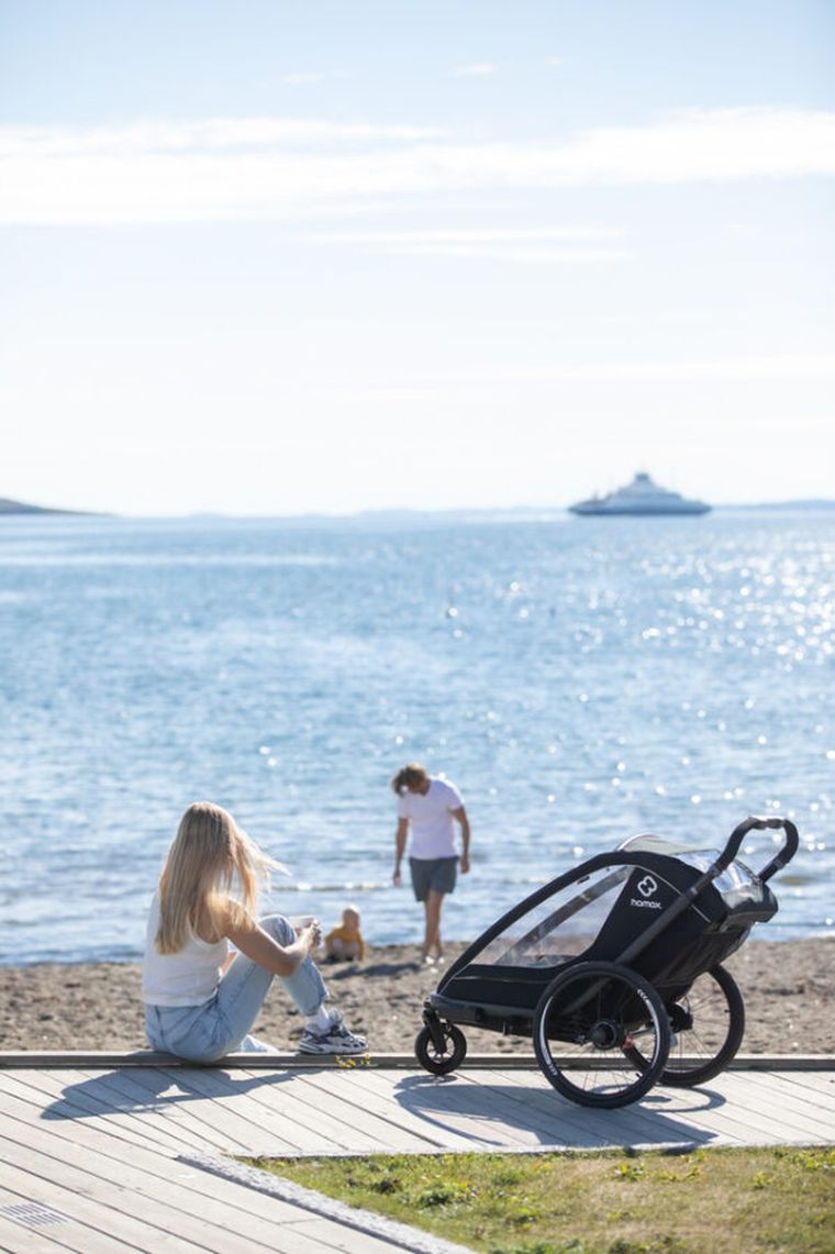 Hamax, Breeze One, przyczepka rowerowa, Black