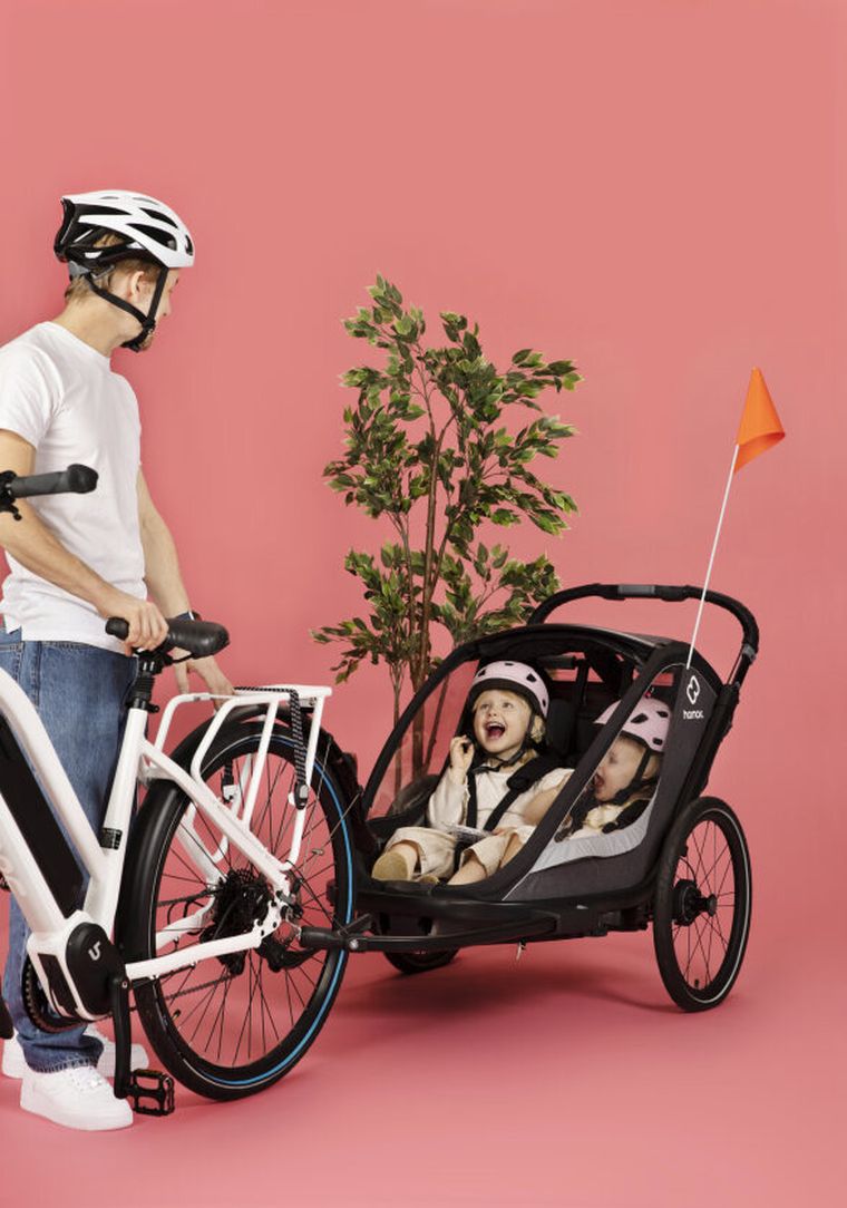 Hamax, Cocoon, przyczepka rowerowa, podwójna, Grey/Black