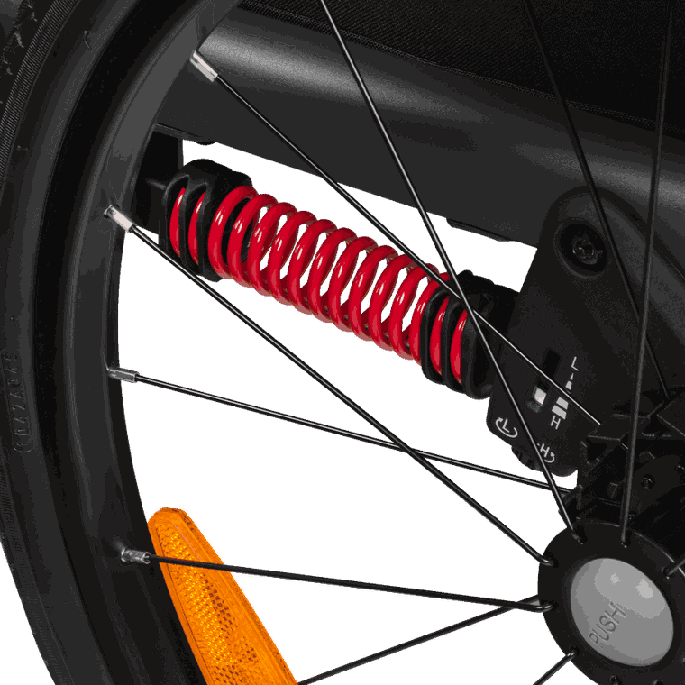 Lionelo, Cama, przyczepka rowerowa, Grey Graphite