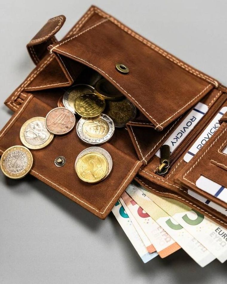 Portfel, brązowy, skórzany, Always Wild