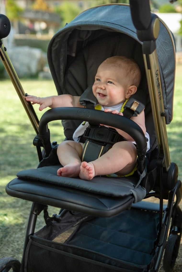 Chicco, One4Ever, wózek spacerowy z dwoma siedziskami, Silver Leaf