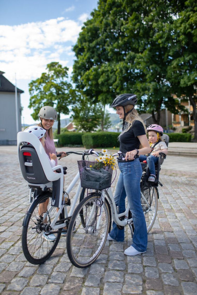 Hamax, Caress, fotelik rowerowy montowany na bagażniku, dark grey/red