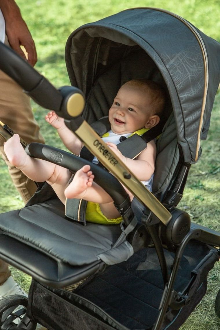 Chicco, One4Ever, wózek spacerowy z dwoma siedziskami, Silver Leaf