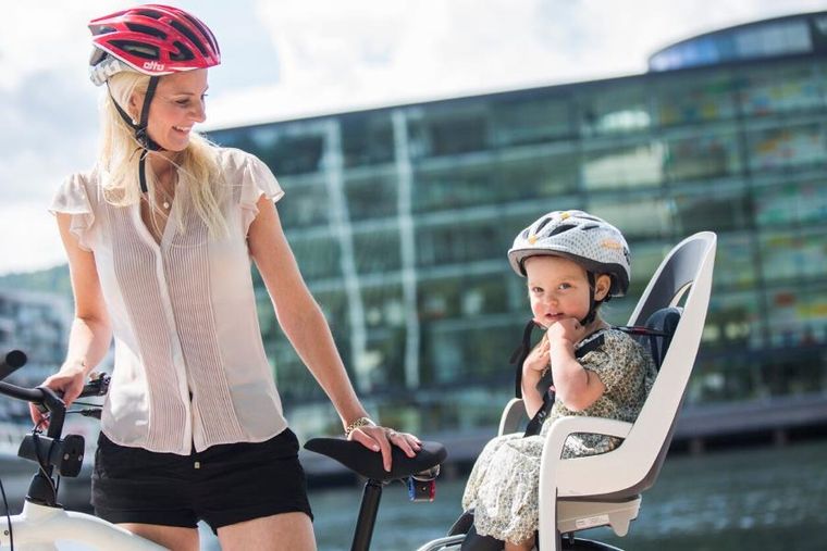 Hamax, Caress, fotelik rowerowy montowany na bagażniku, dark grey/red