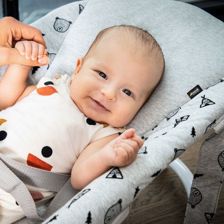 Hauck, Alpha Premium, leżaczek, Grey