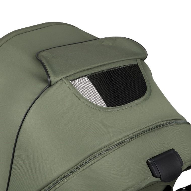 Lionelo, Amber Plus, wózek wielofunkcyjny 2w1, Green Forest