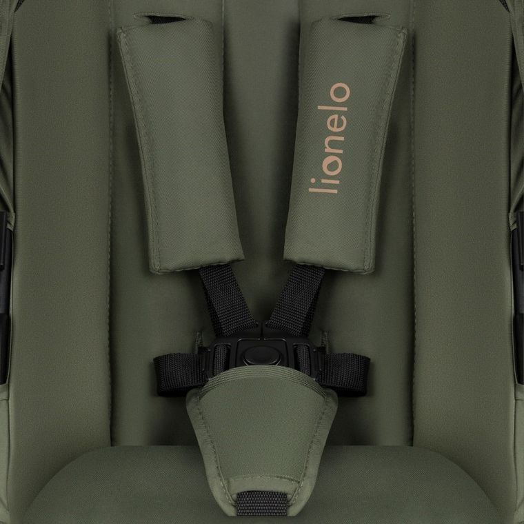 Lionelo, Amber Plus, wózek wielofunkcyjny 2w1, Green Forest