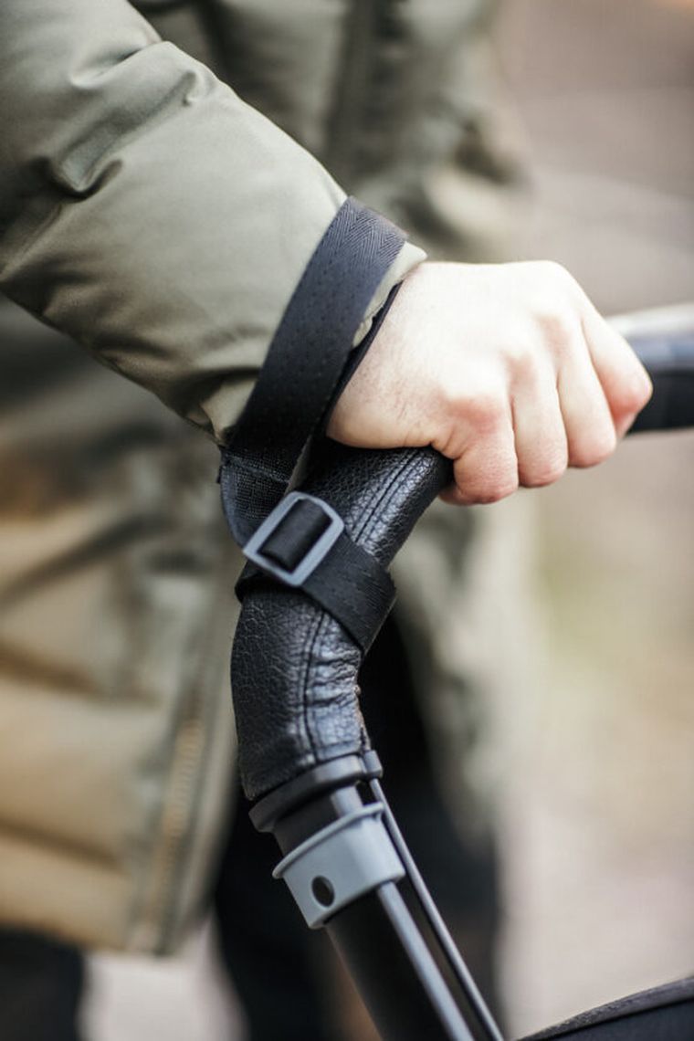 Hamax, Cocoon, przyczepka rowerowa, podwójna, Grey/Black