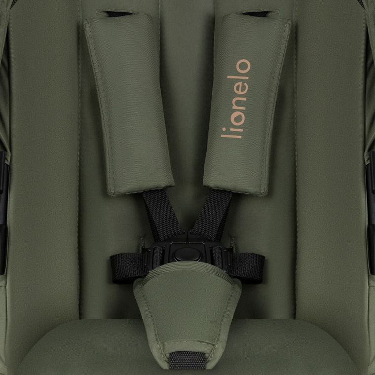 Lionelo, Amber Plus, wózek wielofunkcyjny 3w1, Green Forest