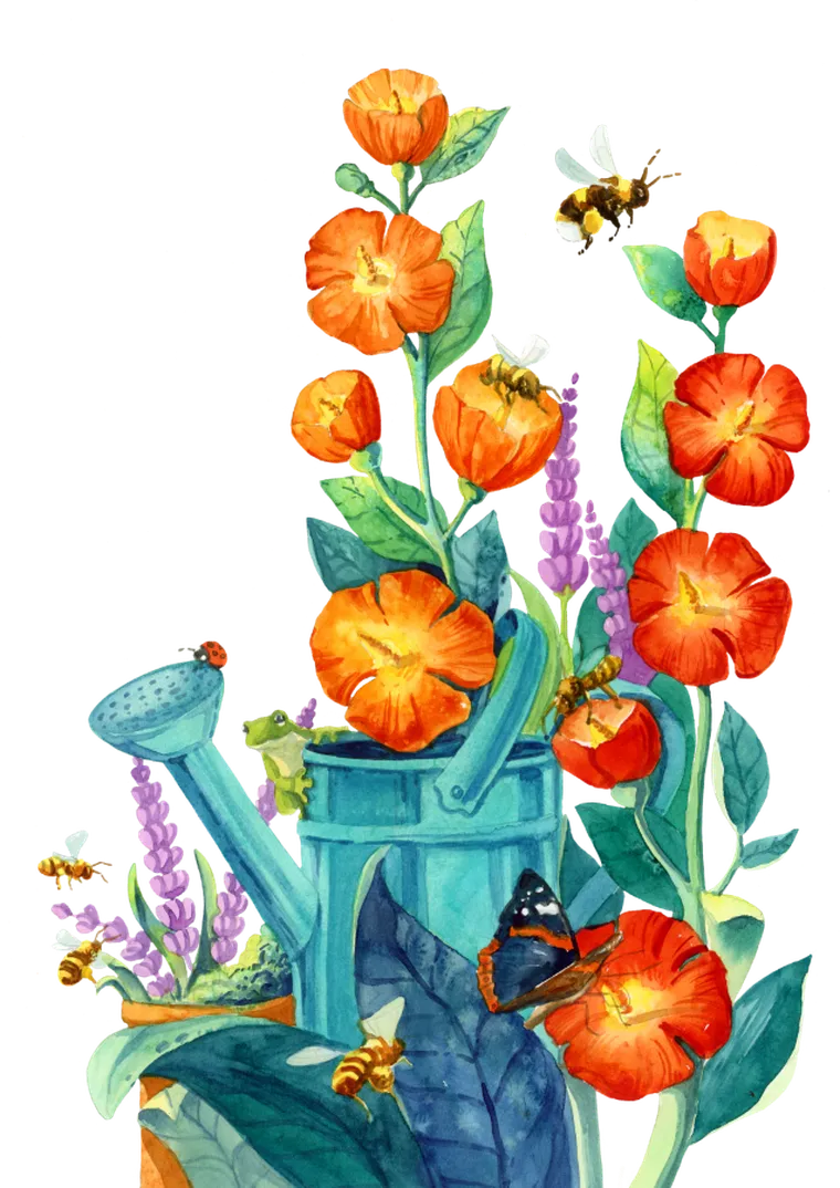 Rebel, Pergola, gra familijna