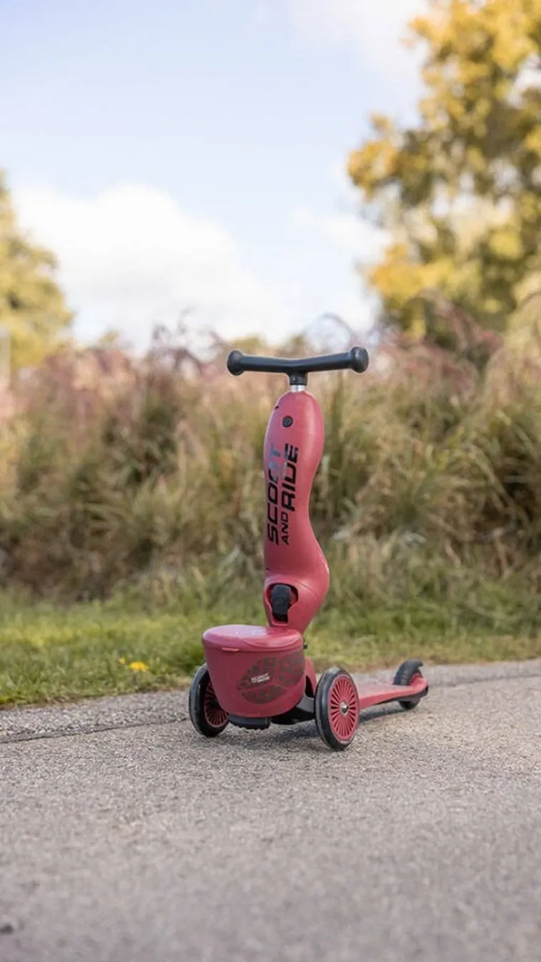 Scoot & Ride, Highwaykick 1, Lifestyle, jeździk i hulajnoga 2w1, Wildcat