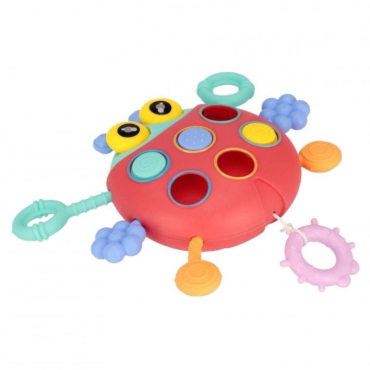 Bam Bam, zabawka sensoryczna, biedronka