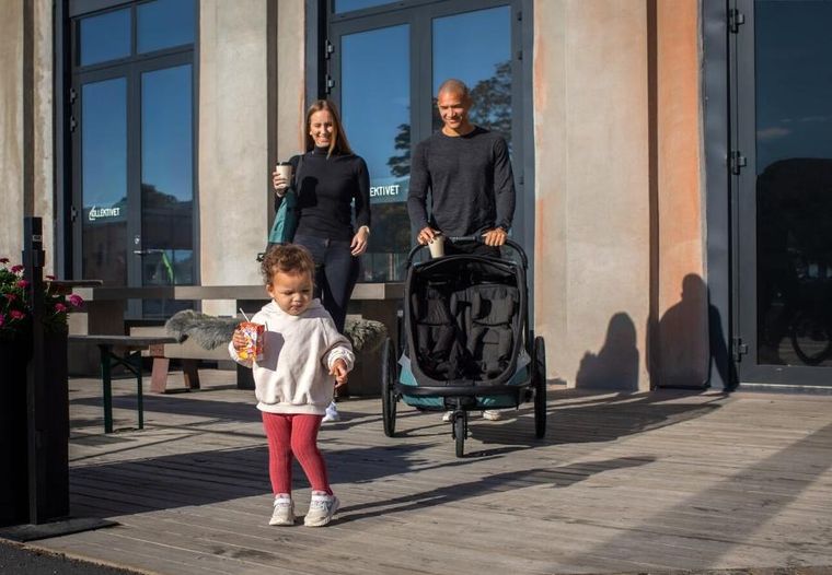 Hamax, Cocoon, przyczepka rowerowa, podwójna, Green/Black