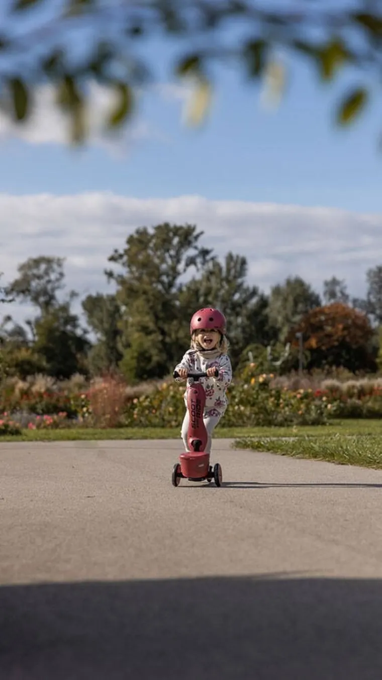 Scoot & Ride, Highwaykick 1, Lifestyle, jeździk i hulajnoga 2w1, Wildcat