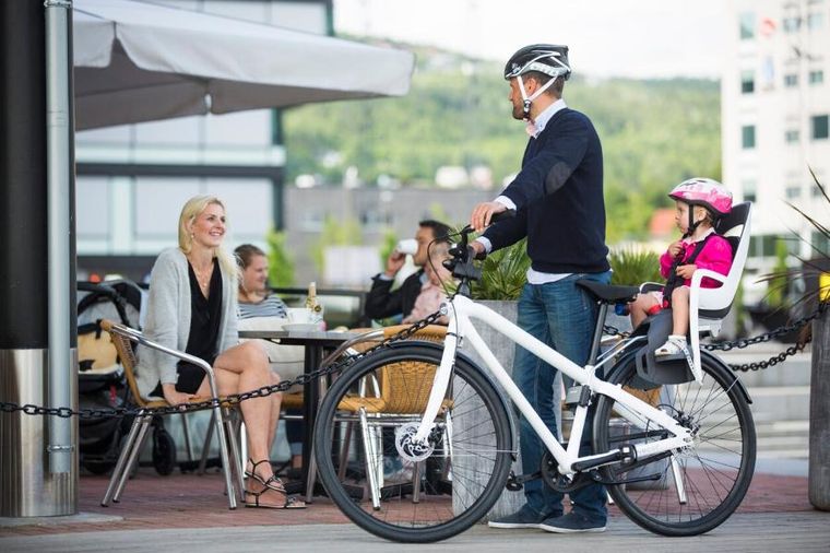 Hamax, Caress, fotelik rowerowy montowany na ramie, white/mint