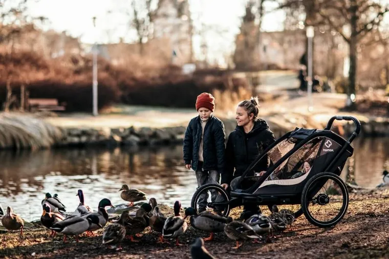 Hamax, Cocoon One, przyczepka rowerowa, grey/black