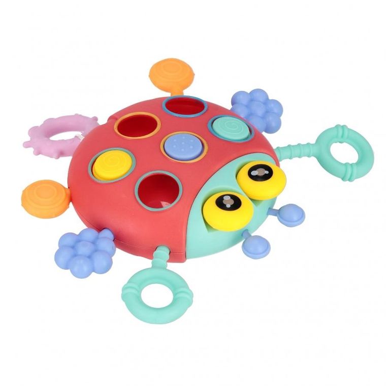 Bam Bam, zabawka sensoryczna, biedronka