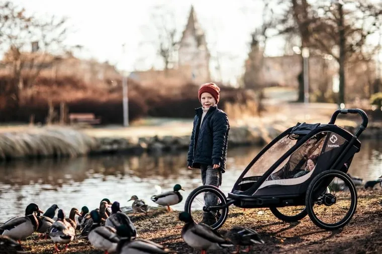 Hamax, Cocoon One, przyczepka rowerowa, grey/black