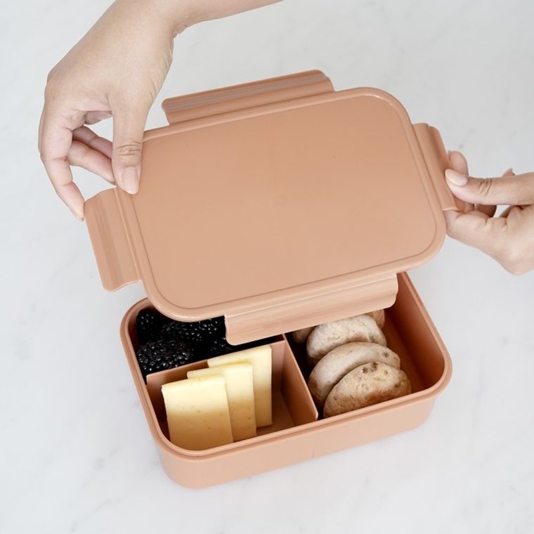 3 Sprouts, lunchbox bento, rust