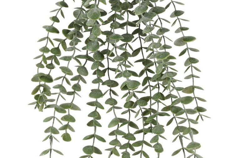 4living, eukaliptus, sztuczna roślina wisząca