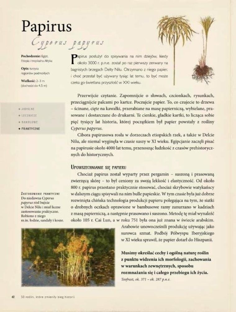 50 roślin, które zmieniły bieg historii