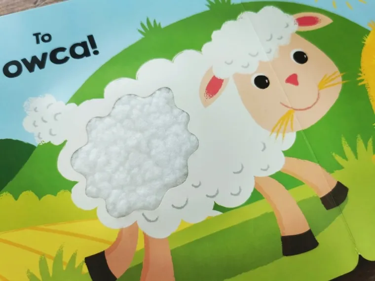 Akademia Mądrego Dziecka. Dotykam, zgaduję. Zwierzęta na wsi